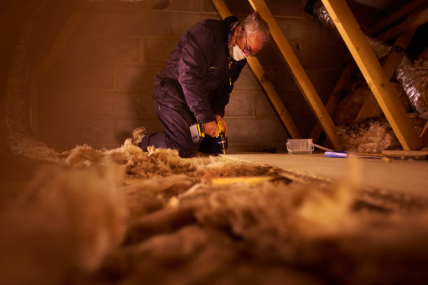 Best Residential Insulation in Ravensworth, VA